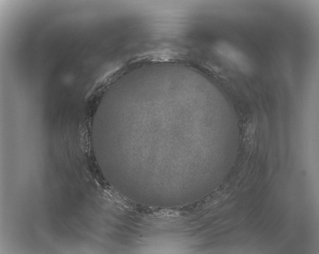 X0000062651446200512211218