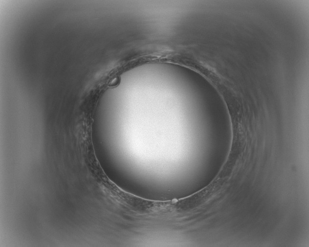 X0000062651447200512211218