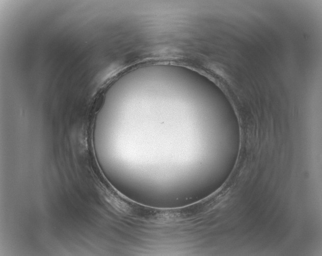 X0000062651451200512211218