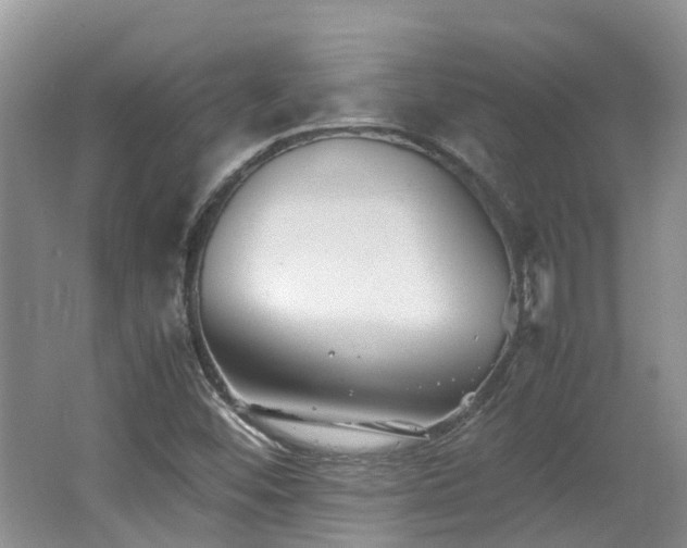 X0000062651452200512211218