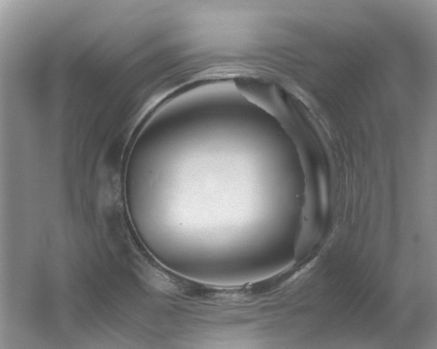 X0000062651465200512211218