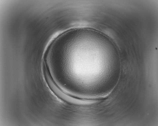 X0000062651472200512211218