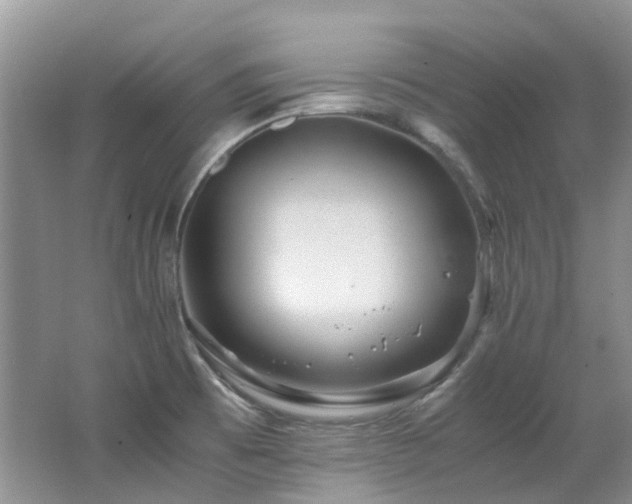 X0000062651473200512211218