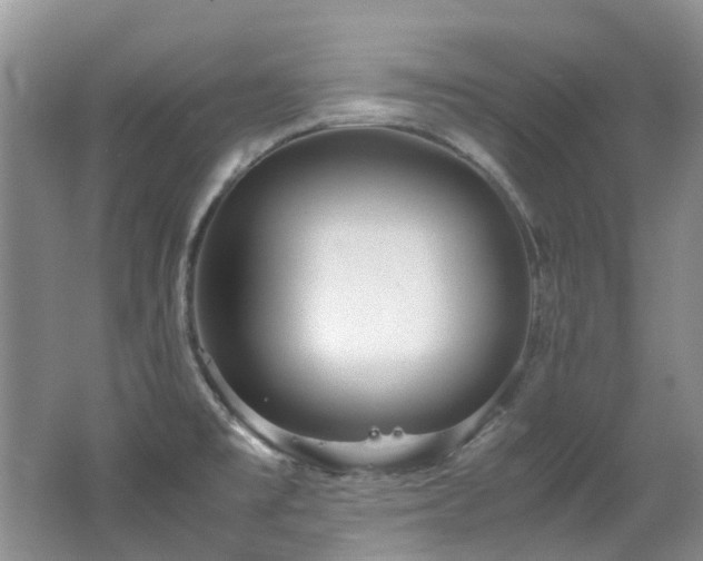 X0000062651477200512211218