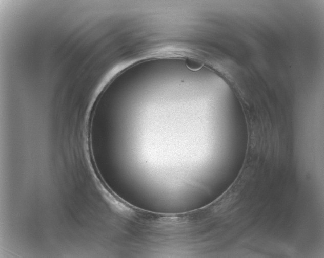 X0000062651478200512211218