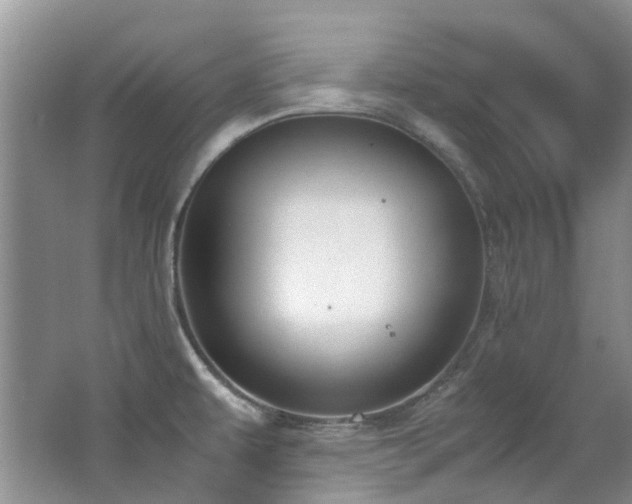 X0000062651479200512211218