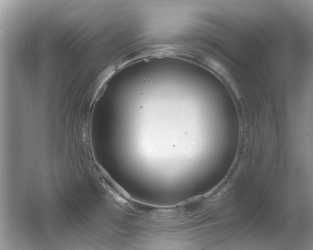 X0000062651481200512211218