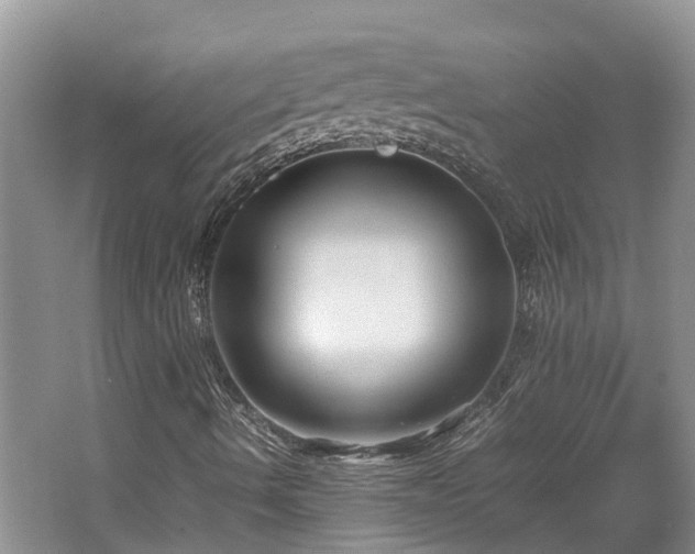 X0000062651490200512211217