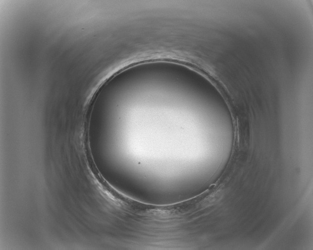 X0000062651500200512211217
