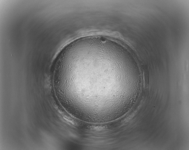 X0000062651501200512211217