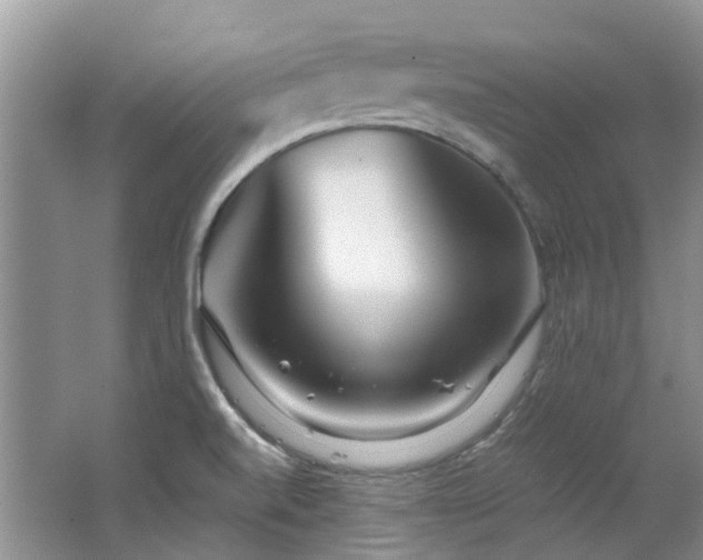 X0000062651520200512211217