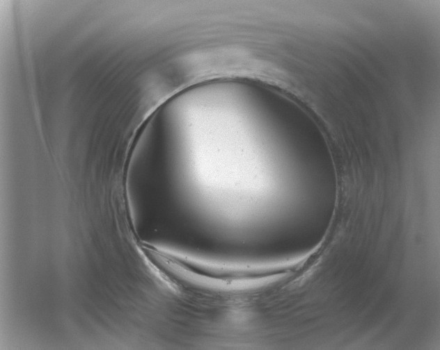 X0000062651521200512211217