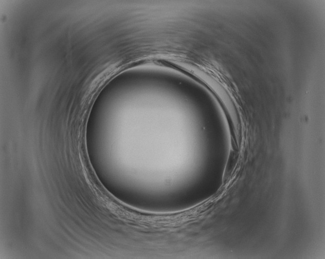 X0000062650001200512230907