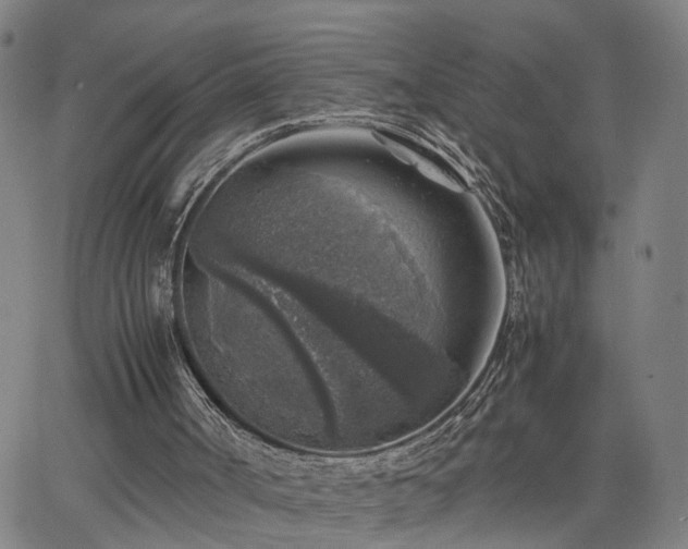 X0000062650002200512230907