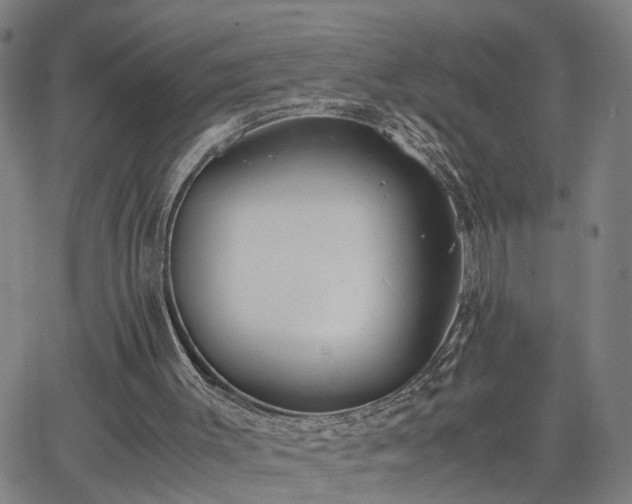 X0000062650003200512230907