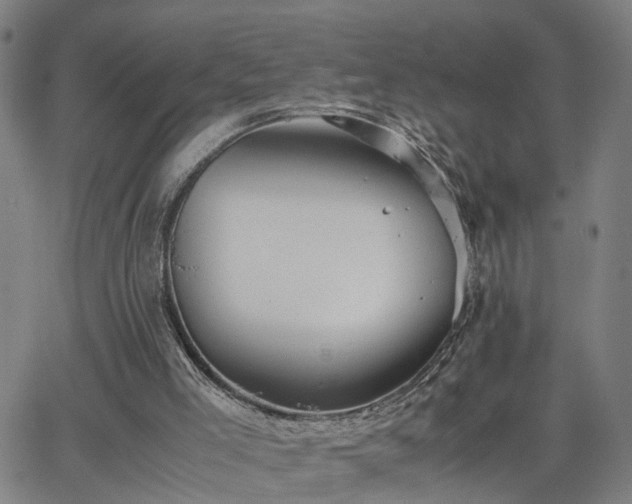 X0000062650005200512230907