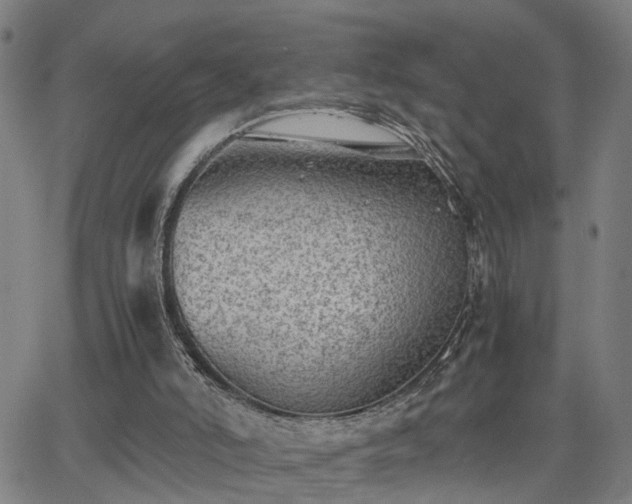 X0000062650006200512230907