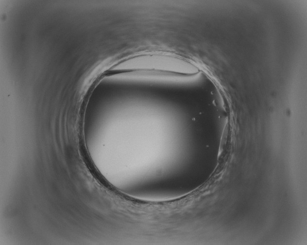 X0000062650007200512230907