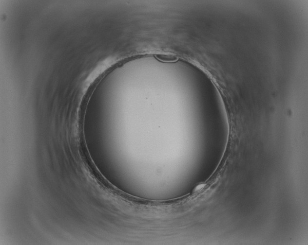 X0000062650008200512230907