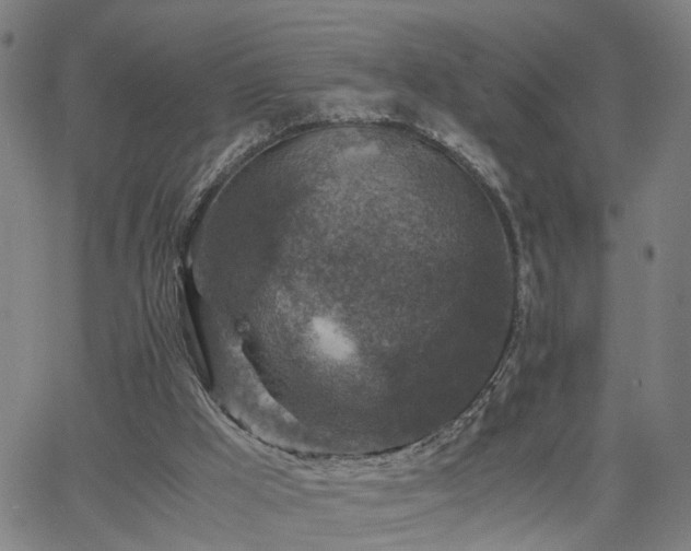 X0000062650009200512230907