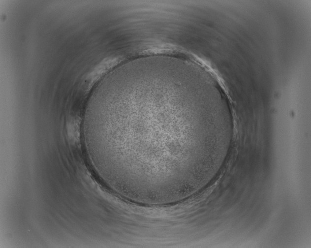 X0000062650010200512230907