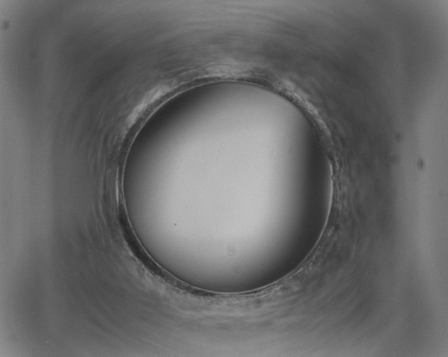 X0000062650011200512230907