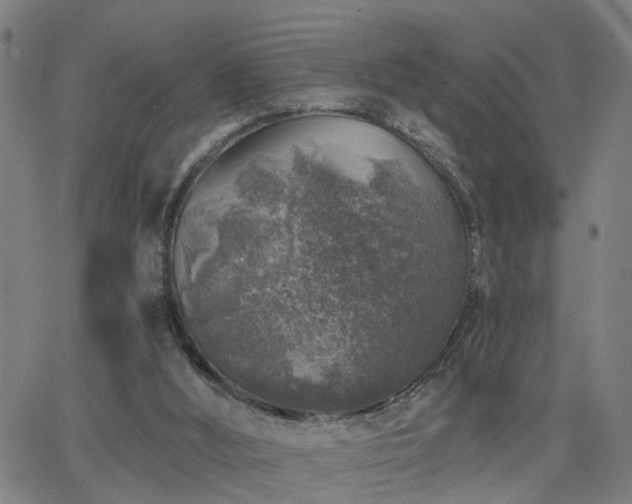 X0000062650012200512230907