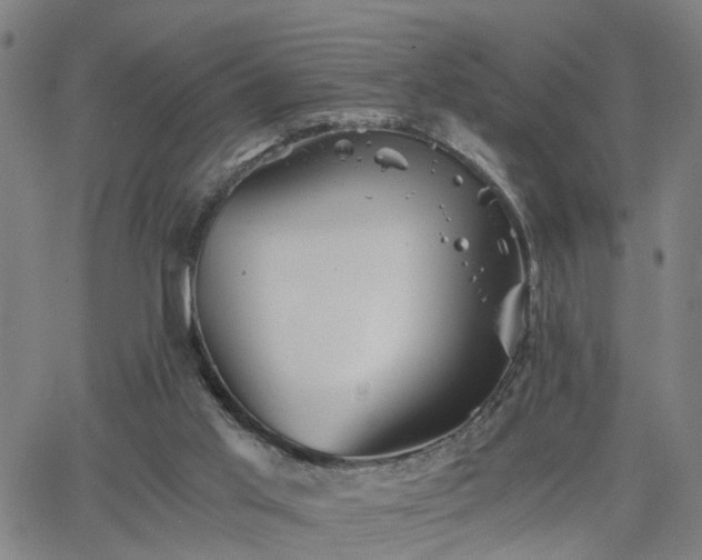 X0000062650013200512230907