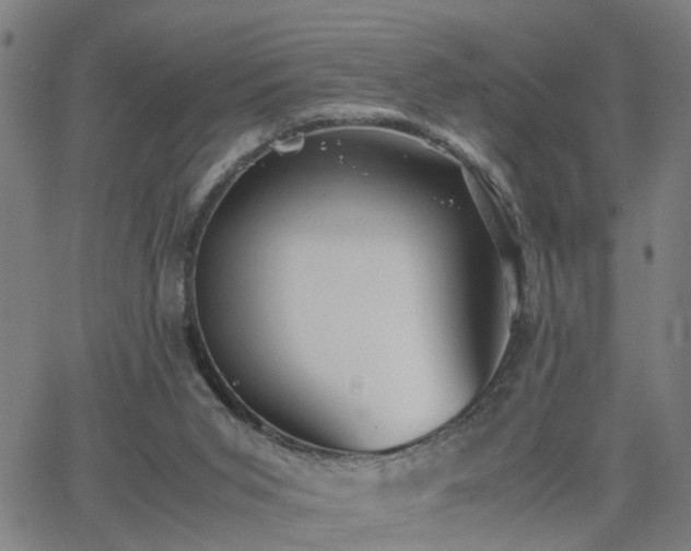 X0000062650015200512230907