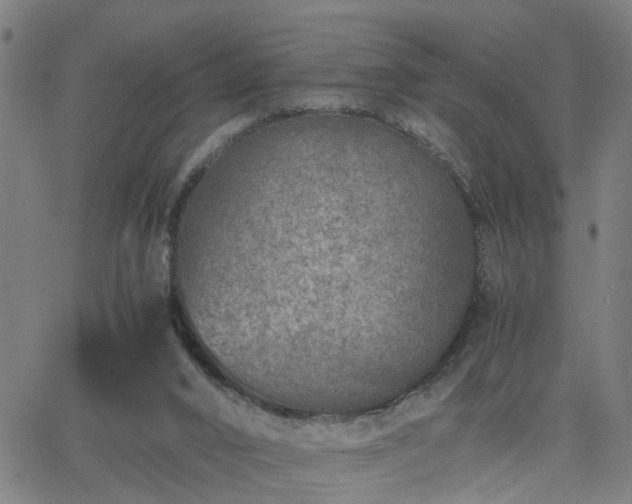 X0000062650016200512230907