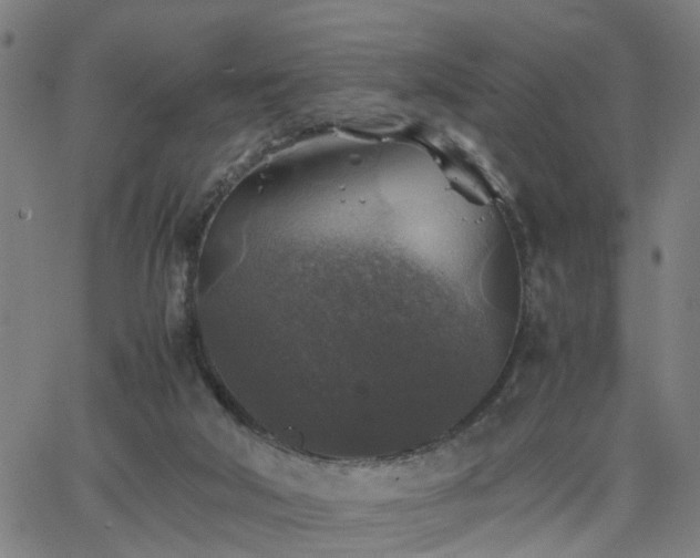 X0000062650018200512230907