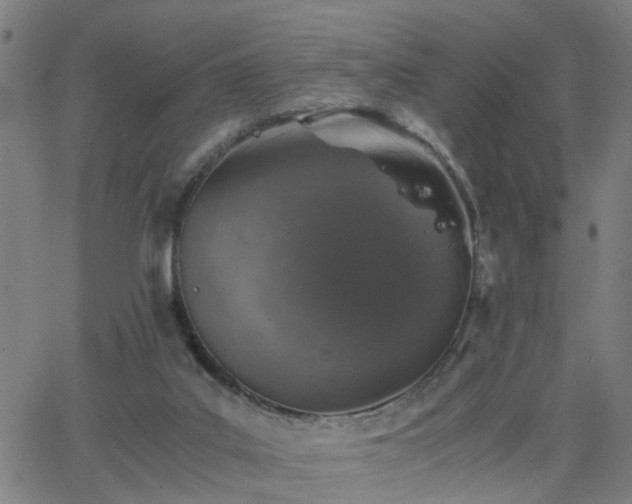 X0000062650019200512230907