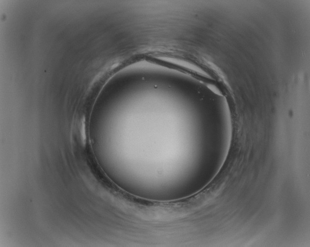 X0000062650020200512230907