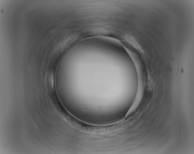 X0000062650021200512230907