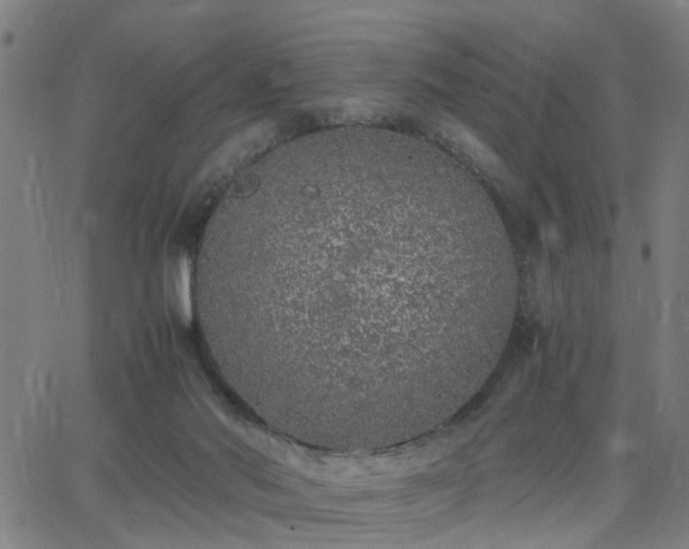 X0000062650022200512230907