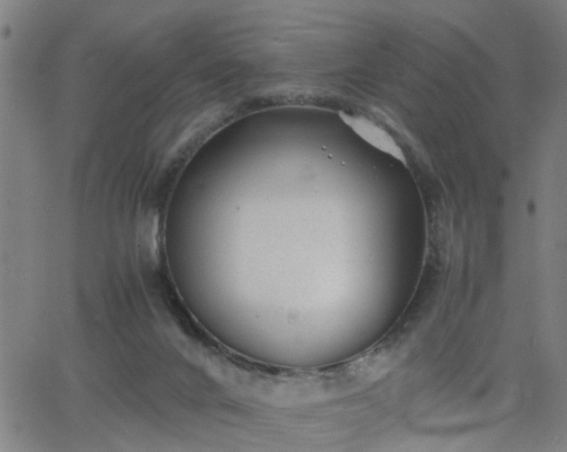 X0000062650024200512230907