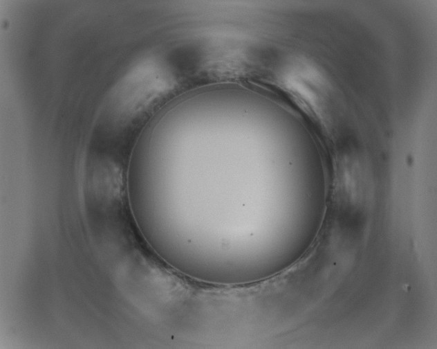 X0000062650025200512230907