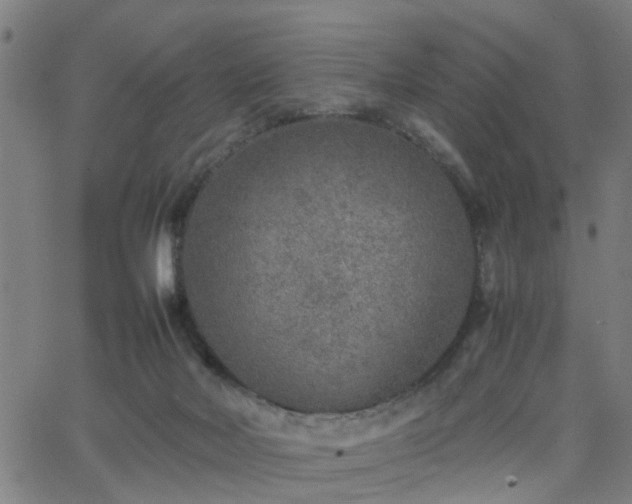 X0000062650026200512230907