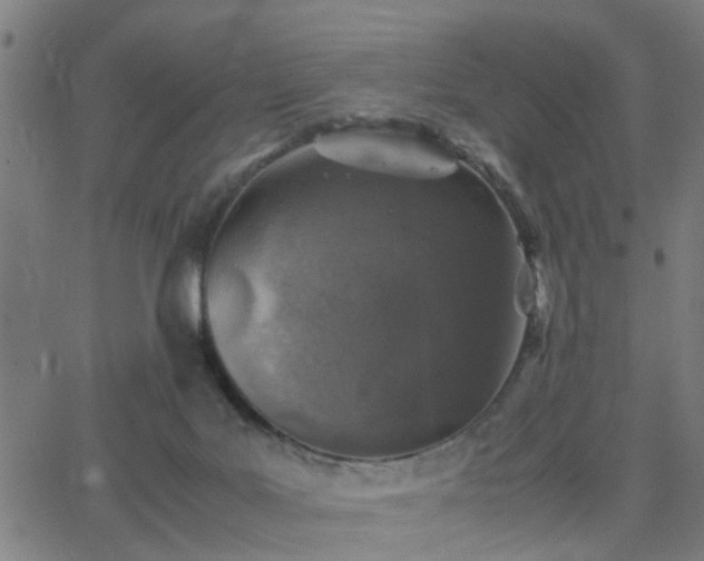 X0000062650027200512230907