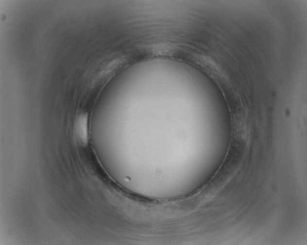 X0000062650028200512230907