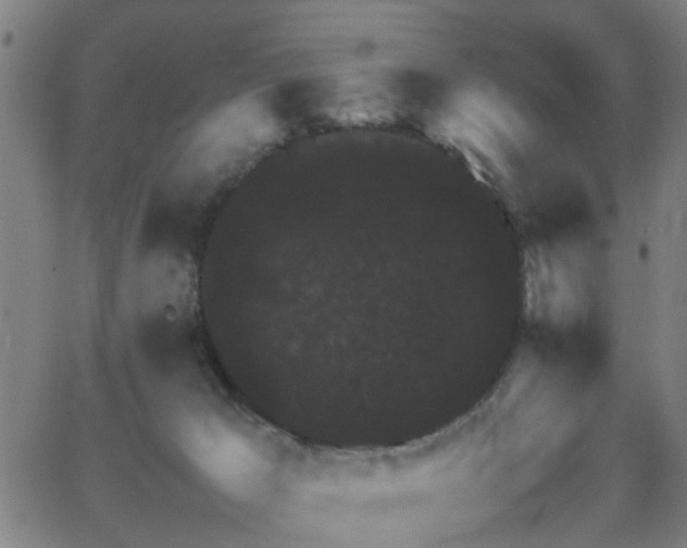 X0000062650029200512230907