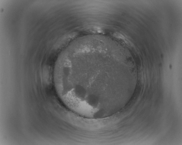 X0000062650030200512230907