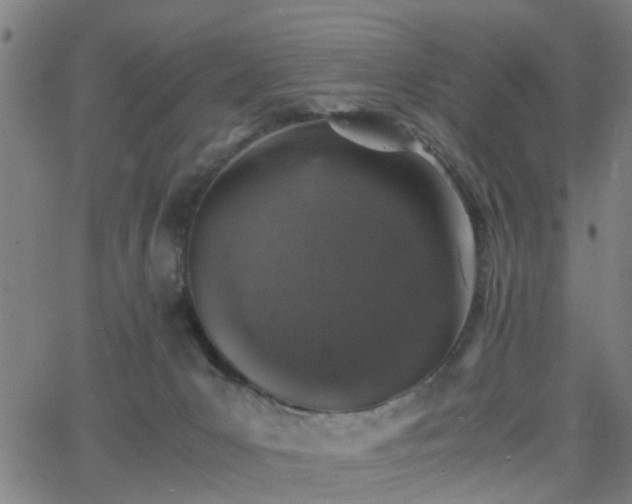 X0000062650031200512230907