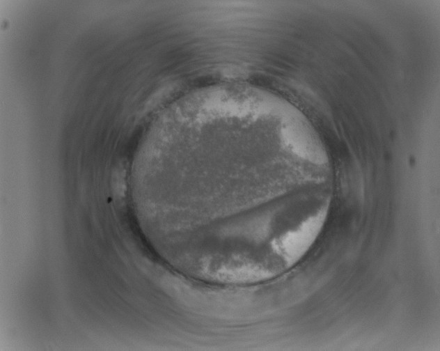 X0000062650032200512230907