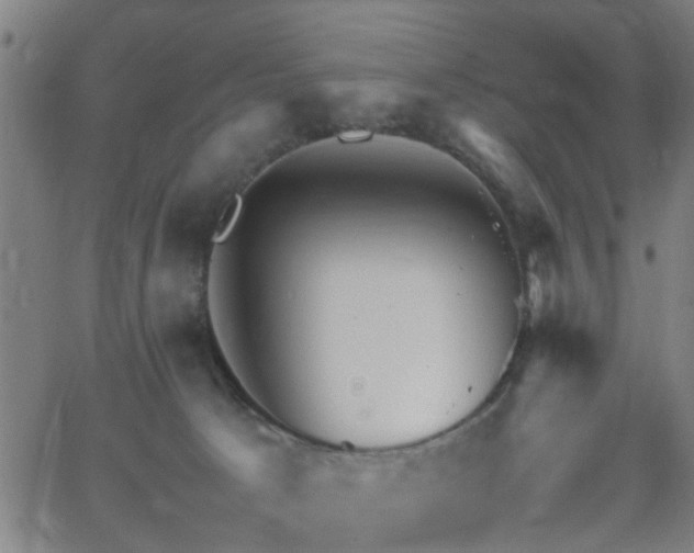 X0000062650033200512230907