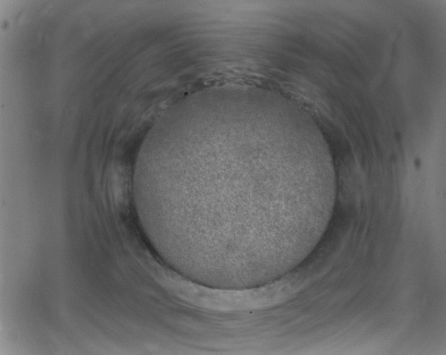 X0000062650034200512230907