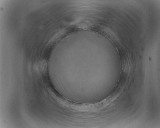 X0000062650036200512230907