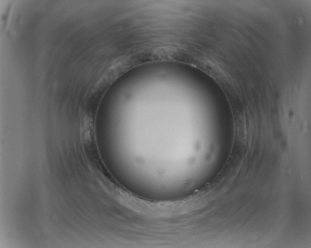 X0000062650038200512230907