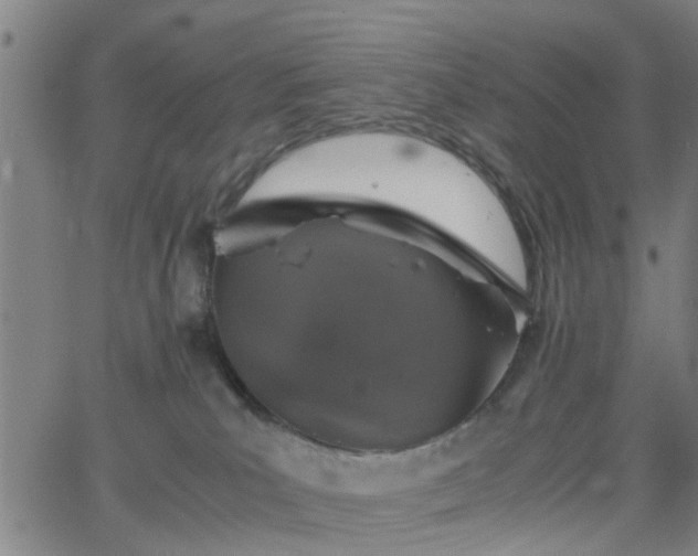 X0000062650039200512230907