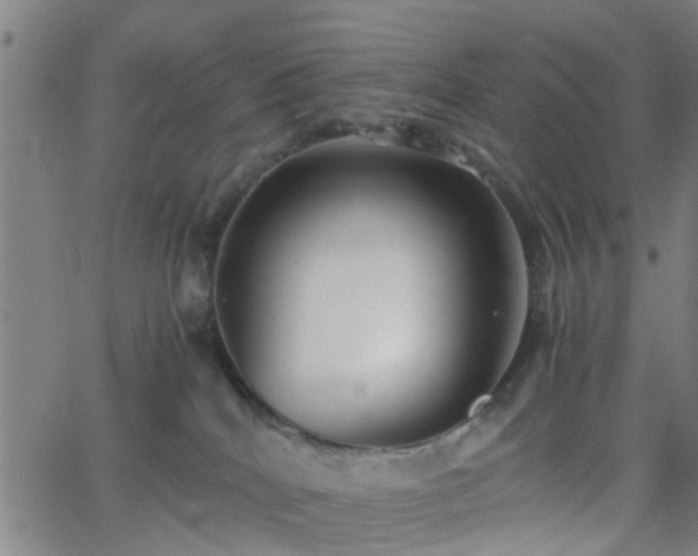 X0000062650040200512230907